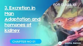 Adaptation of Kidney | Effect of Hormones on kidney working | Composition of Urine | Class 12 bio