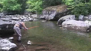 Fly Fishing the South Toe River, North Carolina