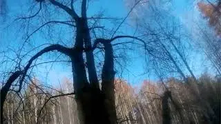 Тайное озеро\Secret Lake