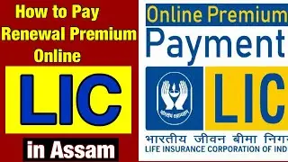 How to Pay LIC Renewal Premium Online । in Assam । Pay Premium Online।