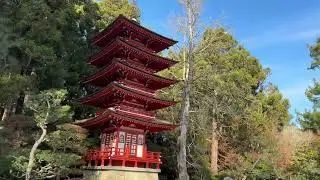 Japanese Tea Garden in San Francisco