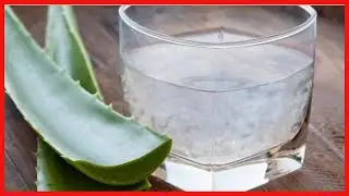 6 plantes m&eacute;dicinales pour purifier le sang