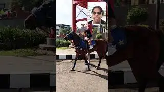 PERNAH KAH NAIK KUDA BRE