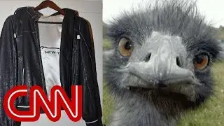 Internet loses it over Manafort's jacket
