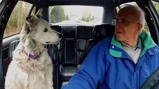 When 200 IQ Dog Solves Problems in the Most Unpredictable Way! 🧠