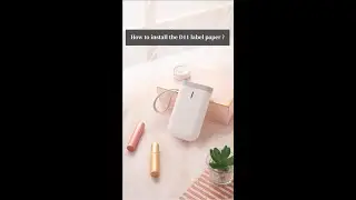INSTALL THE PAPER | How to install the D11 label paper?