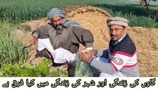 Gaon Ki Zindgi Aur Shehr Ki Zindgi Mein Kya Farq Hai?