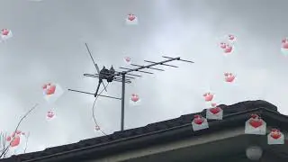 When Your TV Reception Bad - Digital Signal Auto Tuning Still Failed. See What Happen !! 😁🤭🤔