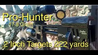 Long Range Air-Rifle Shooting. Pro Hunter 17.8 grain 222 yards   #prohunterslugs #fximpact