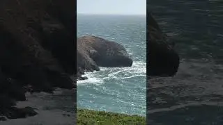 I stumbled across a giant sleeping lizard rock ￼