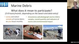 All About COASST! U of W's Coastal Observation and Seabird Survey Team