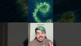 CIENTISTAS DIZEM TER 99% DE CERTEZA DE VIDA FORA DA TERRA