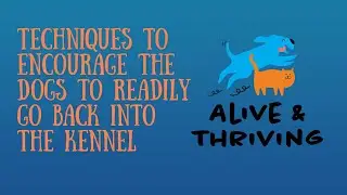 Techniques to Encourage the Dogs to Readily Return to their Kennel