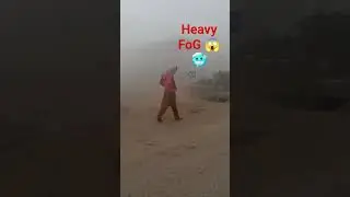 Heavy FoG in Dadu Shorts video #fog #heavyfog #dadufog #shorts #shortsvideoviral