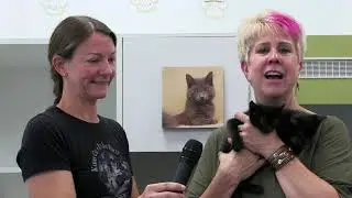 Magic 98.3's Debbie Mazella at Karma Cat & Zen Dog Rescue Society - Episode 22