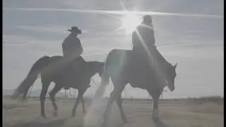 Introduction to Jeremy Watt Horsemanship