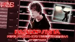 РАЗБОР ЛУПА 