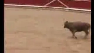 sanfermin 2008