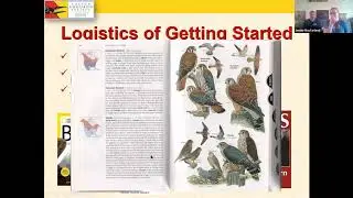 Birding Tips and Tricks