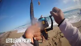 This Gentle Big Fish