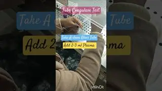 Tube Coagulase Test | Procedure Staphylococcus  #microbiology #culture