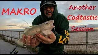 UK Sea Fishing - MAKRO -CODTASTIC SESSION - River Humber - East Coast