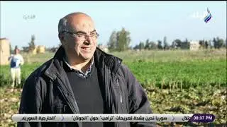 نظرة - مهندس زراعي : البنجر من أهم الزراعات في كفر الشيخ  والجميع يستفيد منها