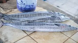 Amazing Barracuda Fish Cutting Skills The Best In The World