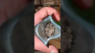 Bazooka Joe - 22.9% THC