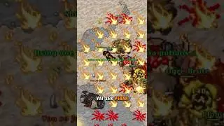 💸💰KRAILOS &Eacute; UM RESPAWN EXCELENTE PRO SEU PALADIN LEVEL 50 FAZER PROFIT NO TIBIA