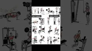 Build a Bigger Chest: Best Targeted Chest Workouts for Maximum Gains