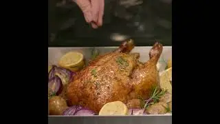 Electrolux Built-in Combi Steam Oven