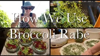 How We Prepare Broccoli Rabe | Growing Broccoli Rabe Series Episode 7