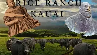 The Great History Behind the Rice Family RANCH KAUAI: WWII, Pirates of the Caribbean, Jurassic Park