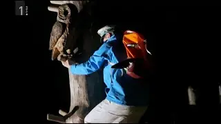 Pepe na obisku: v temnem gozdu