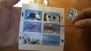 подарки из Германии, пополнение серии ковид. филателия марки хобби stamp philately hobby