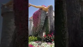 The largest flower garden in the world 🌸 The Dubai Miracle Garden #shorts #travelshorts #dubai