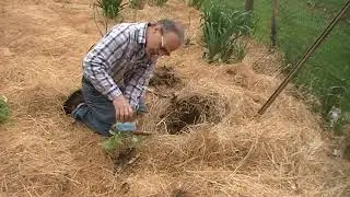 HCC Community Garden Work In Progress