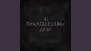 Сумасшедший дуэт