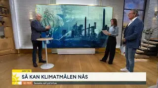 S&aring; kan klimatm&aring;len n&aring;s &ndash; &rdquo;Sol- och vindkraft l&ouml;nar sig&rdquo; | Nyhetsmorgon | TV4 & TV4 Play