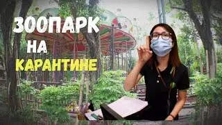 Зоопарк Закрыт на Карантин | Пустой парк #34