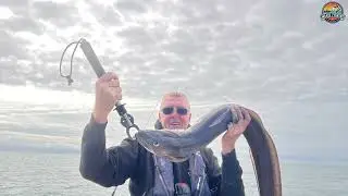 How to catch massive Conger Eels