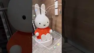 Miffy 70th Anniversary | stationery | @hysanplace 10/F | shorts