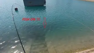 Auf der Jagt nach dem Schwarzbarsch 