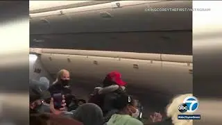 Delta passenger slaps flight attendant on plane | ABC7