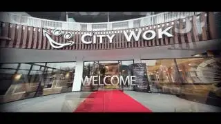 CITY WOK 2017 MEJOR WOK DE ESPA&Ntilde;A【 世界幻想 】制作