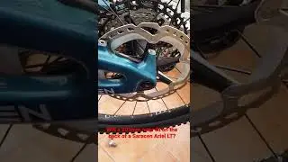 203mm rear rotor on Saracen Ariel LT?