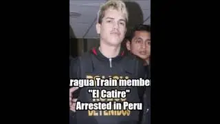 Mega-gang: The Aragua Train #short