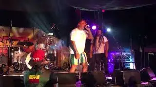Al Scholl Live Art with Rick Haze and Gary Dread at May Daze 5/7/2022.