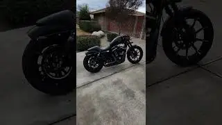 Iron 883 Sportster sound #stage1